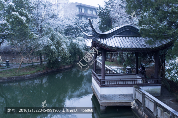 冬季,園林