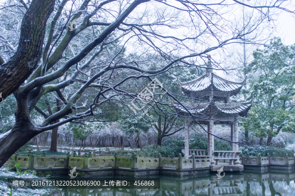 冬季園林