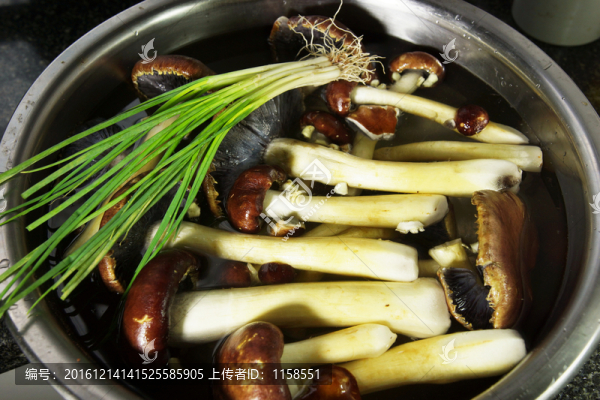食材