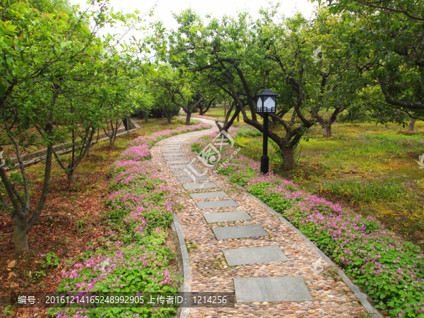 石板路,林蔭小路