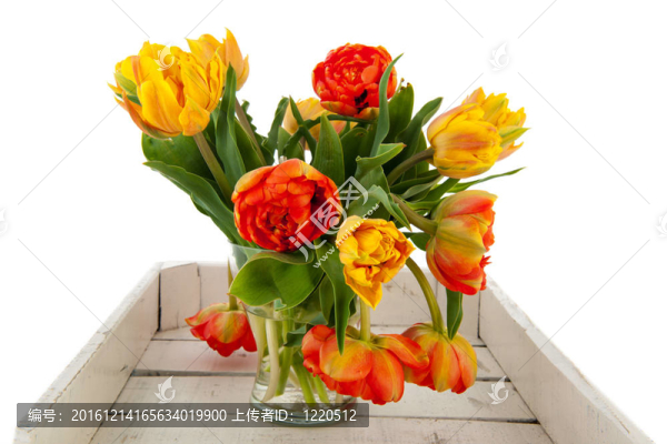 雙郁金香花束