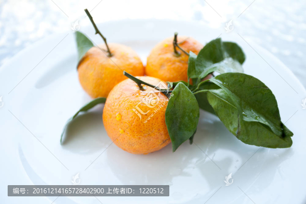 求購鮮橙