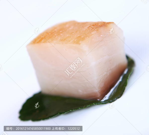 潔白的魚(yú)