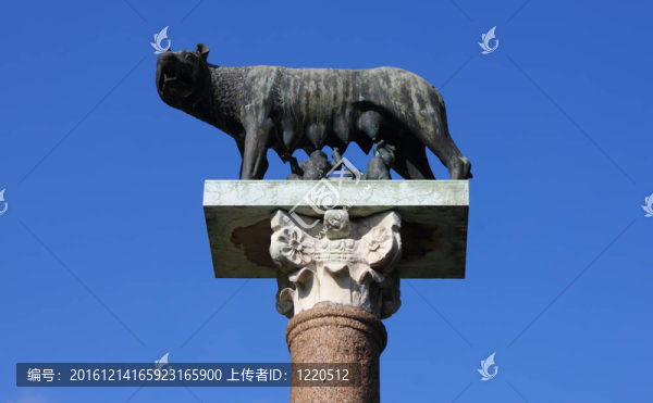 山狼