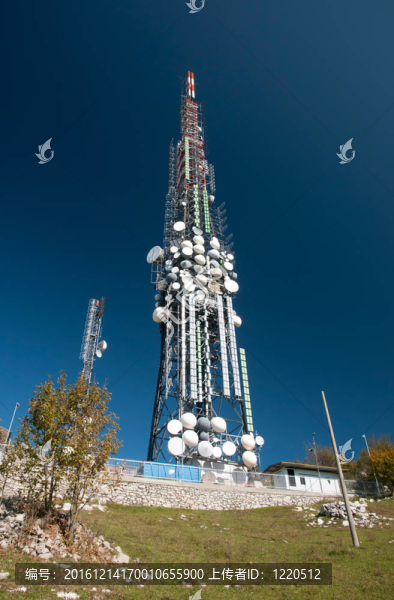 大電視塔