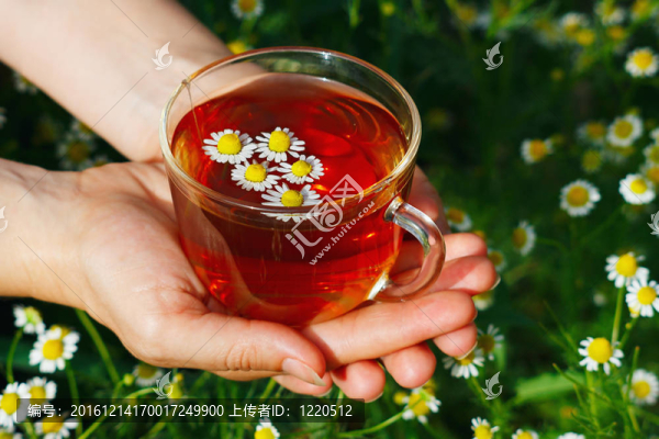 一杯茶和菊花的靜物