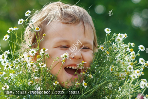 可愛的小男孩拿著一束雛菊戶外