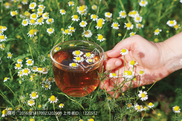 一杯茶和菊花的靜物
