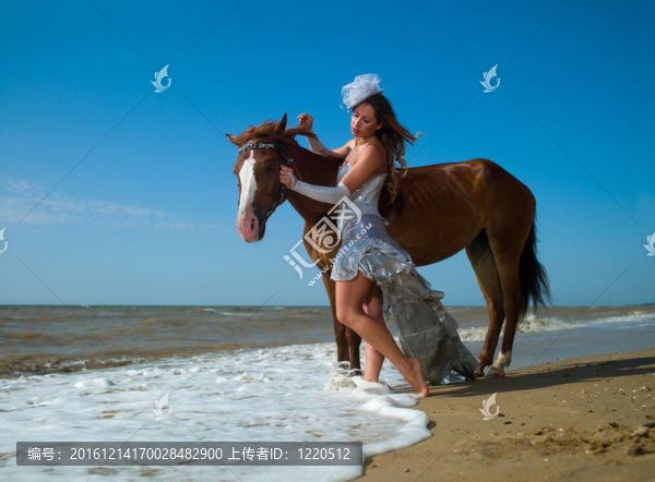 海灘上的女孩和馬