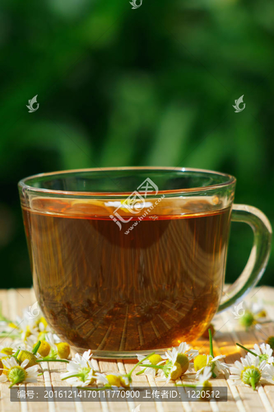 草藥茶和菊花靜物杯