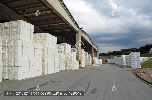 造紙和紙漿廠