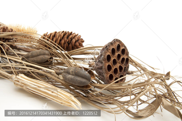 干燥花