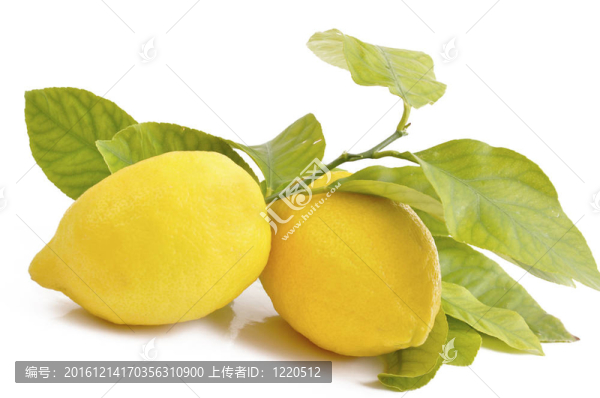 多汁的檸檬和黃色的葉子