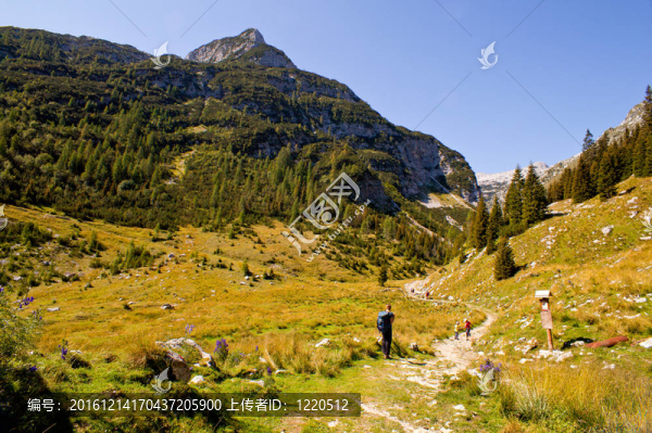 KRN山