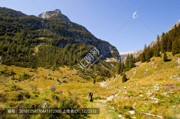 KRN山