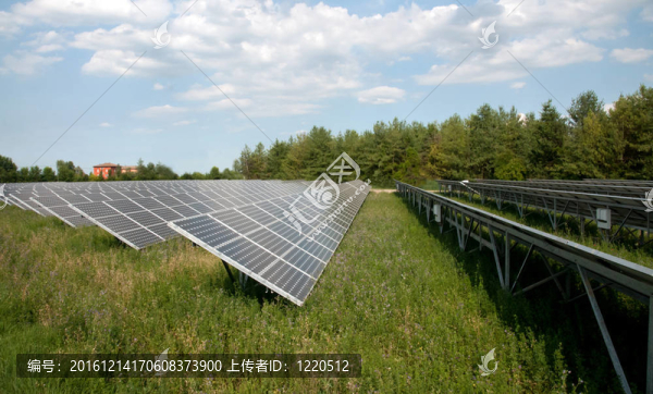 可再生能源：太陽能電池板