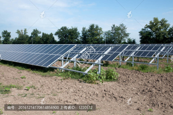 可再生能源：太陽能電池板