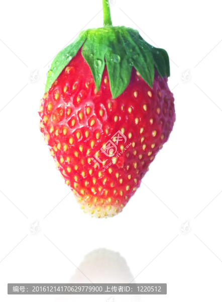 大多數(shù)的草莓