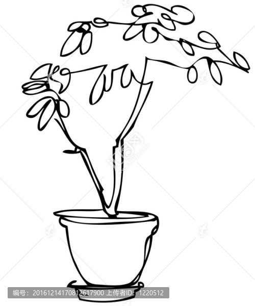 素描室內(nèi)盆栽花卉
