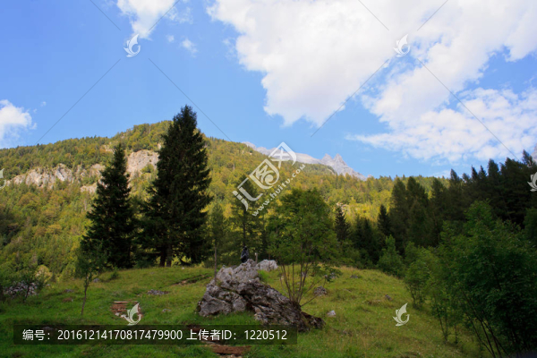 朱利安阿爾卑斯山脈