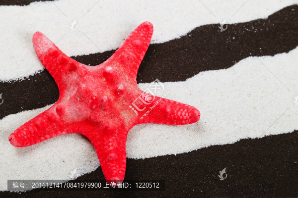 海之星