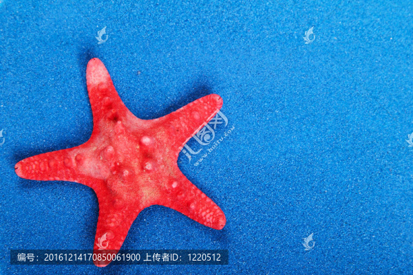 海之星