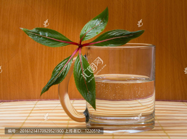 玻璃水