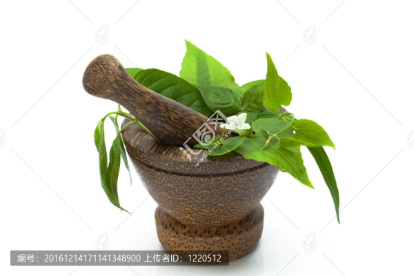 砂漿白