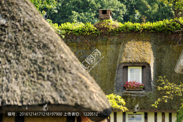 諾曼底典型的法國(guó)房子