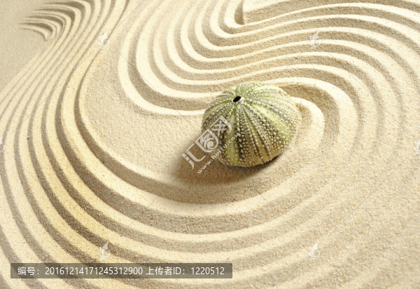 海膽在沙與線
