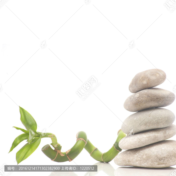 禪宗的組成