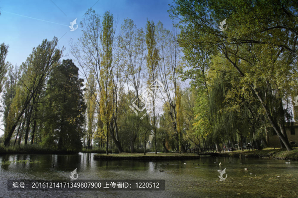 翁布里亞大區(qū)方提德爾clitunno公園植被