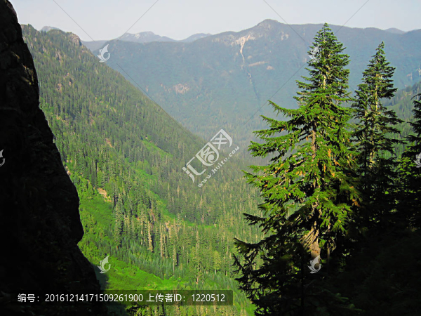 山上的風(fēng)景