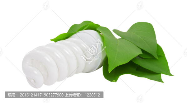 帶葉節(jié)能燈泡