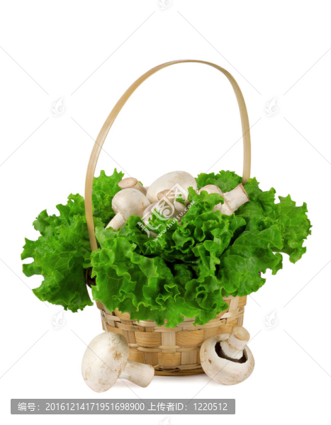 生菜蘑菇