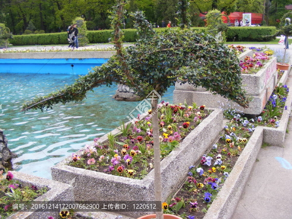 在herastrau公園的海豚；布加勒斯特