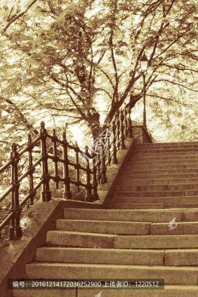 公園里的樓梯；金色的布達(dá)佩斯