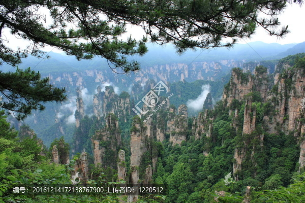 雄偉的風(fēng)景；張家界