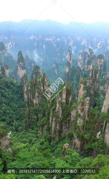 雄偉的風(fēng)景；張家界