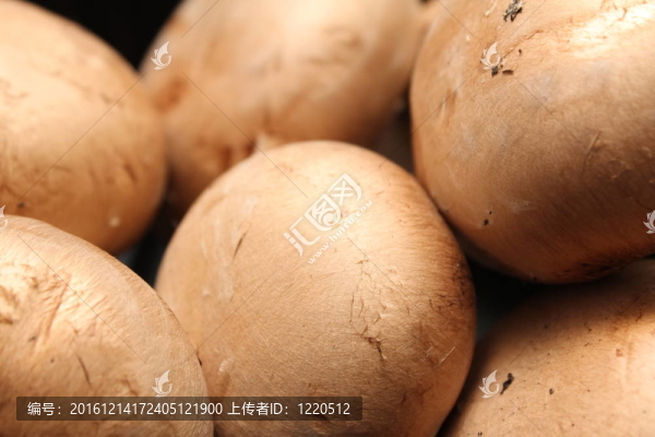 廚房里的蘑菇頭