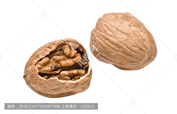 白色背景核桃