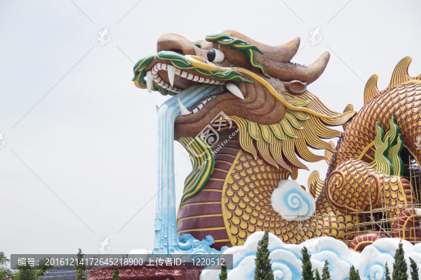 龍大