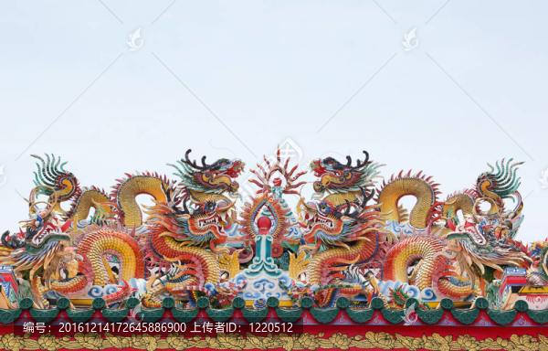 龍