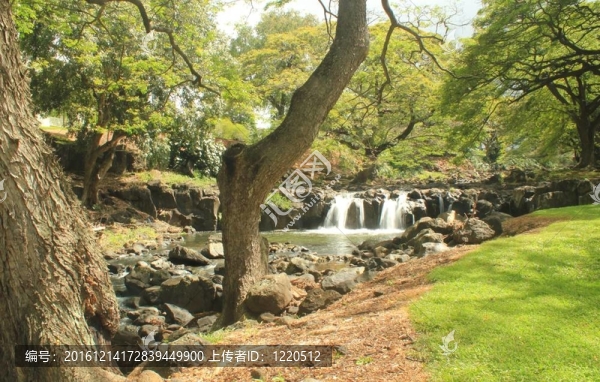 植物園瀑布4（2）