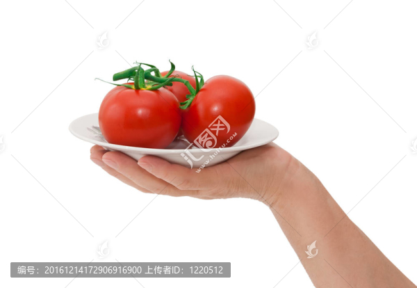 板與西紅柿