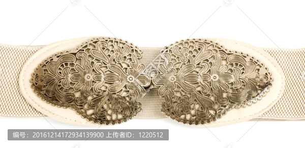 美麗的女性腰帶