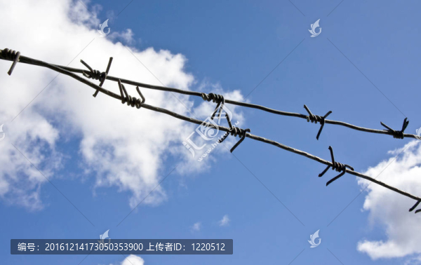 鐵絲網(wǎng)