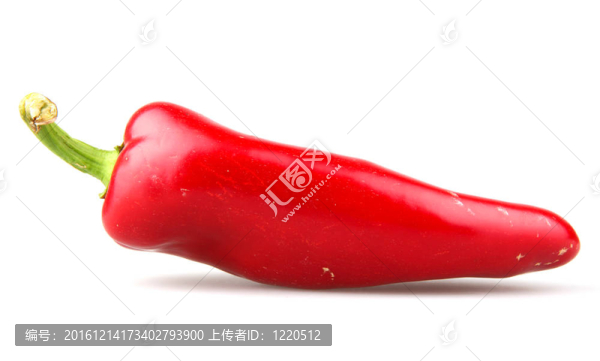 白底紅辣椒