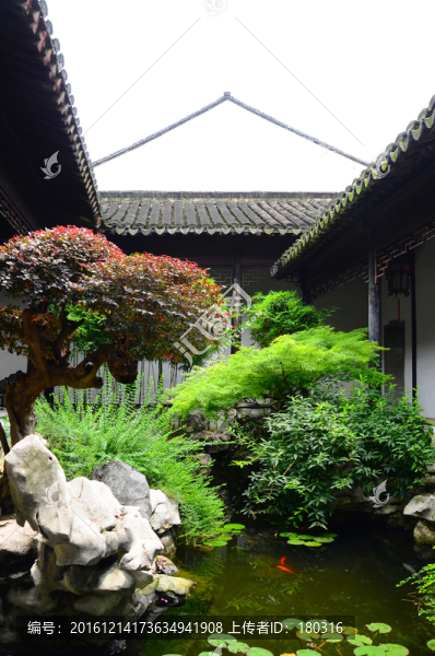 拙政園