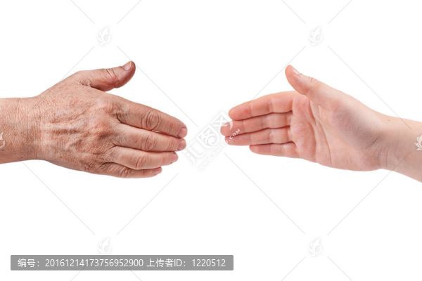 年老和年輕的手